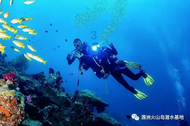 救援男孩与狗